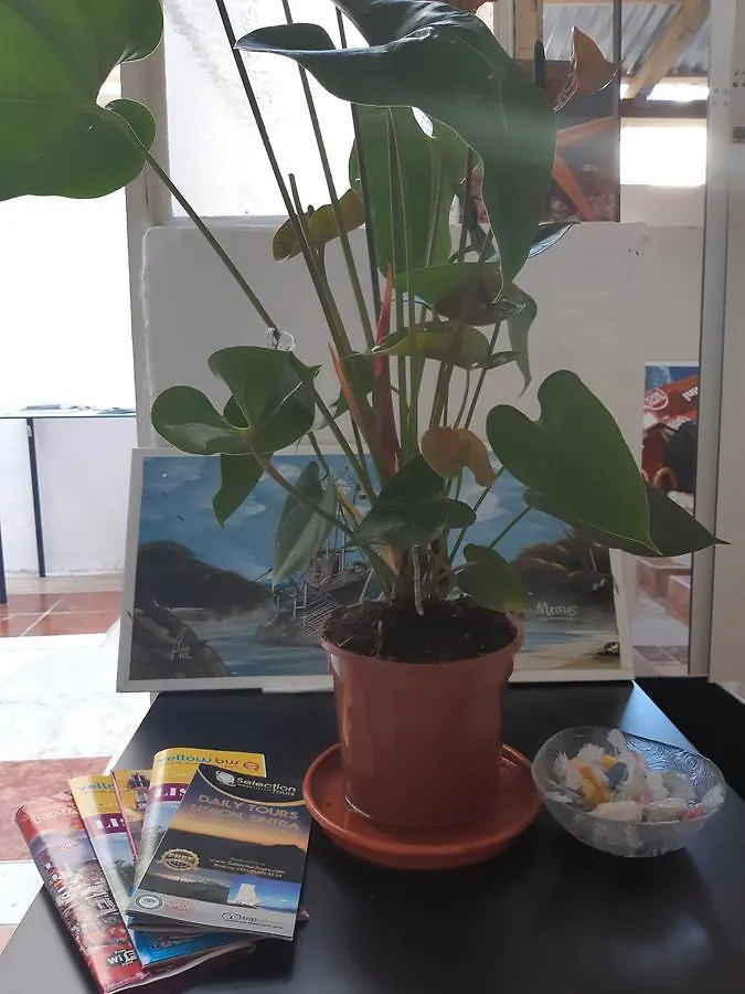 Namaste Home Stay Lisbon